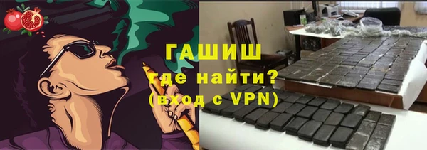 шишки Лабытнанги