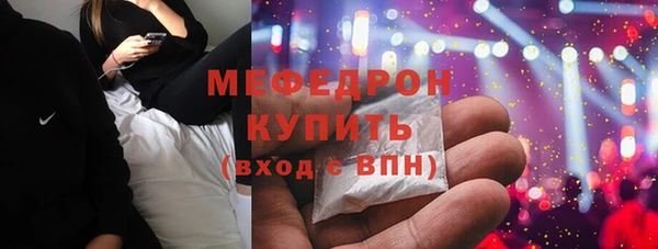 шишки Лабытнанги