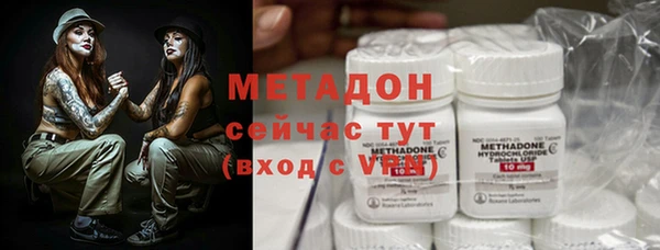 шишки Лабытнанги