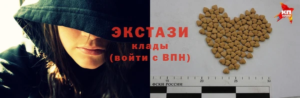 шишки Лабытнанги