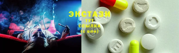 шишки Лабытнанги