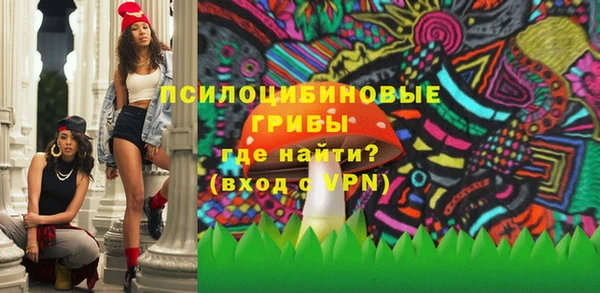 шишки Лабытнанги
