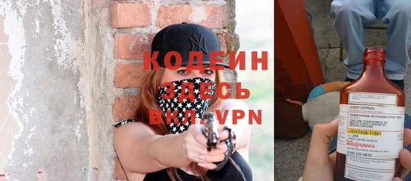 шишки Лабытнанги
