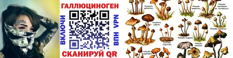 кракен зеркало  Уссурийск  Галлюциногенные грибы мухоморы 