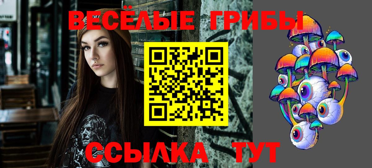 Галлюциногенные грибы GOLDEN TEACHER  Вход с VPN  Уссурийск 