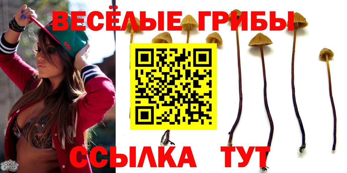 Галлюциногенные грибы GOLDEN TEACHER Уссурийск